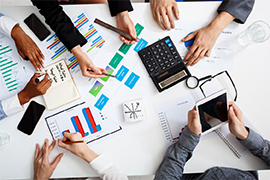 IT Asset and Audit Management